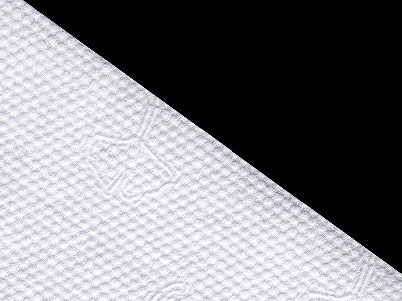 Não tecido de Spunlace do estilo do ponto da ginkgo da viscose e do poliéster para limpezas secas ou molhadas